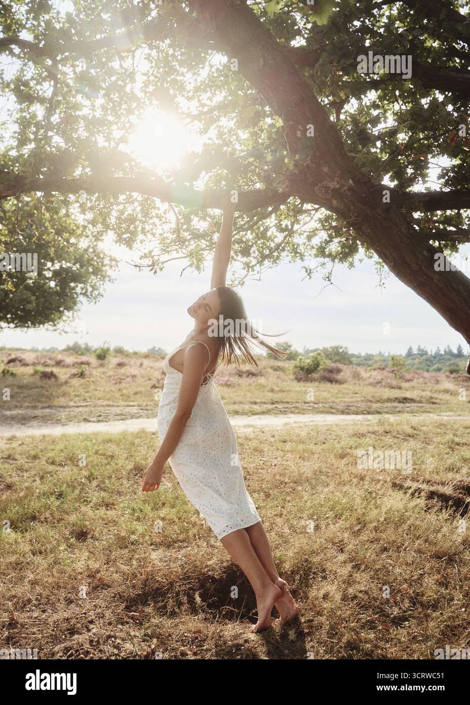 belle femme sous l'arbre dans le champ de bruyère Banque D'Images