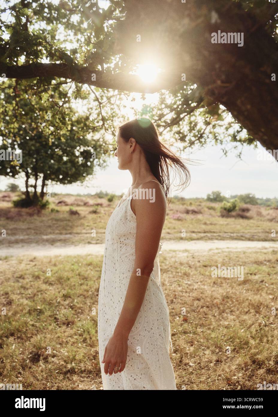 belle femme sous l'arbre dans le champ de bruyère Banque D'Images
