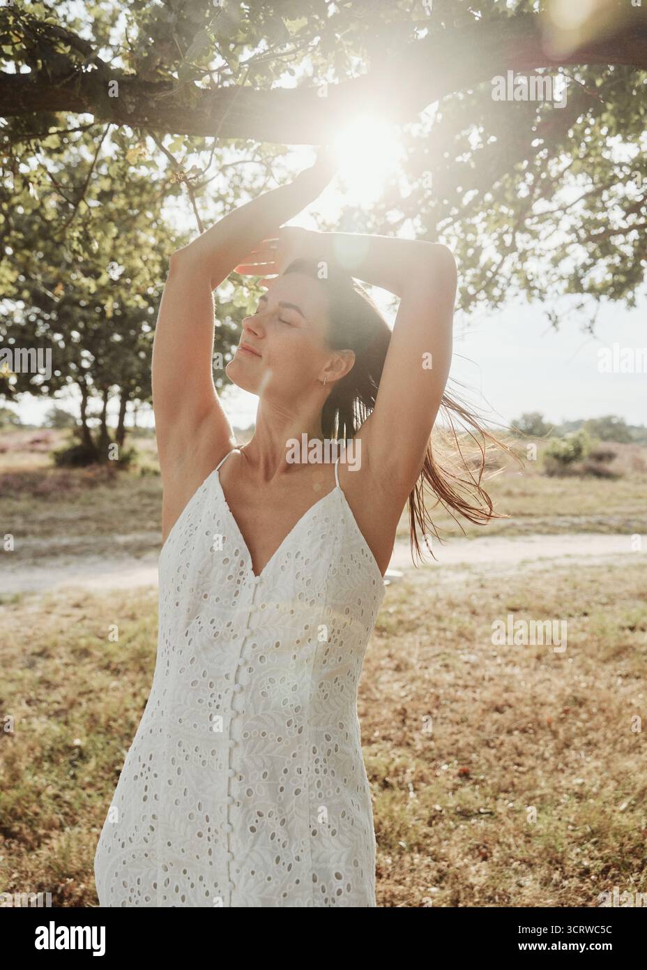 belle femme sous l'arbre dans le champ de bruyère Banque D'Images