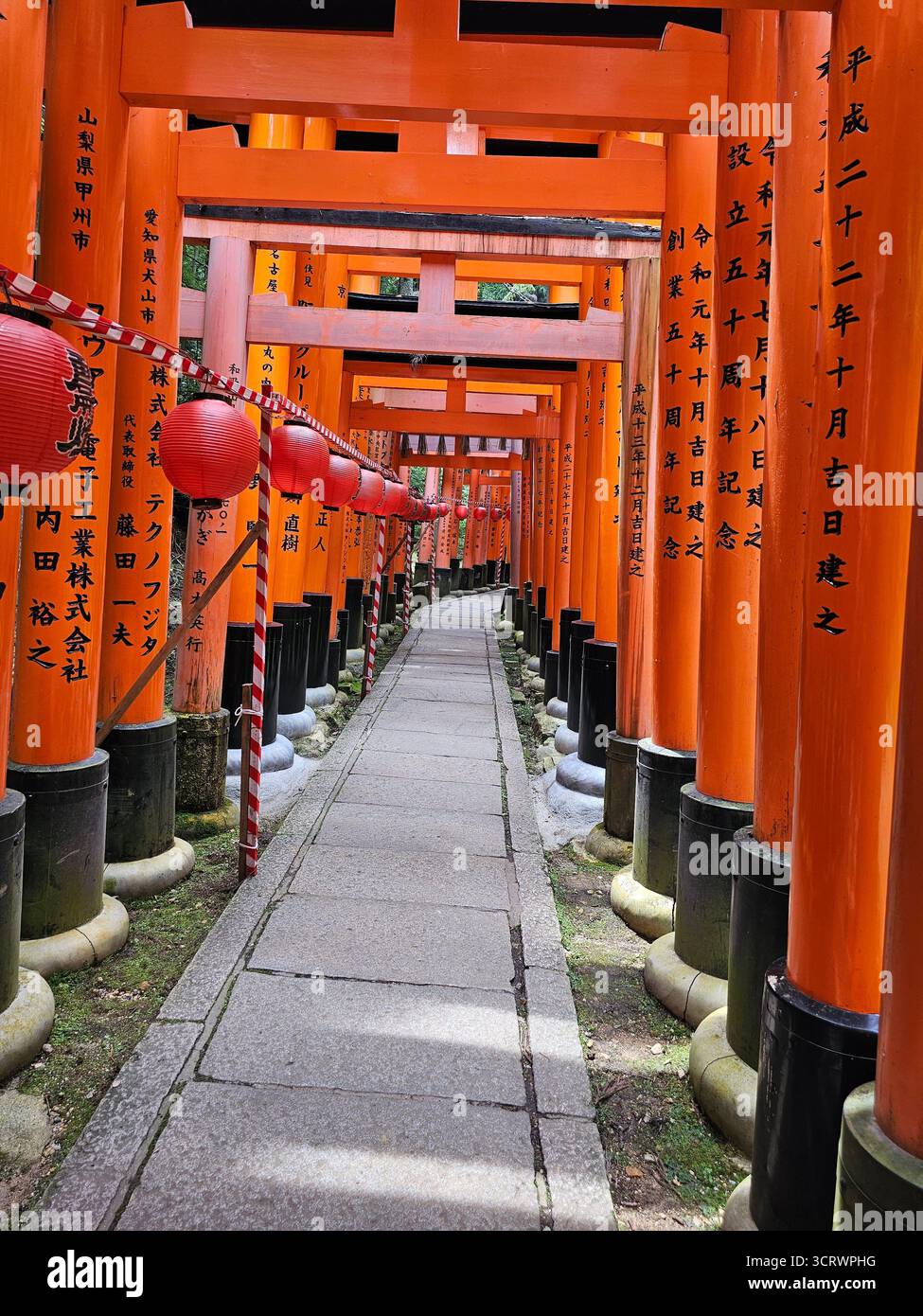 Kyoto, Japon - 18 juillet 2023 : les portes vermillon torii emblématiques de Fushimi Inari Taisha à Kyoto, Japon. Banque D'Images