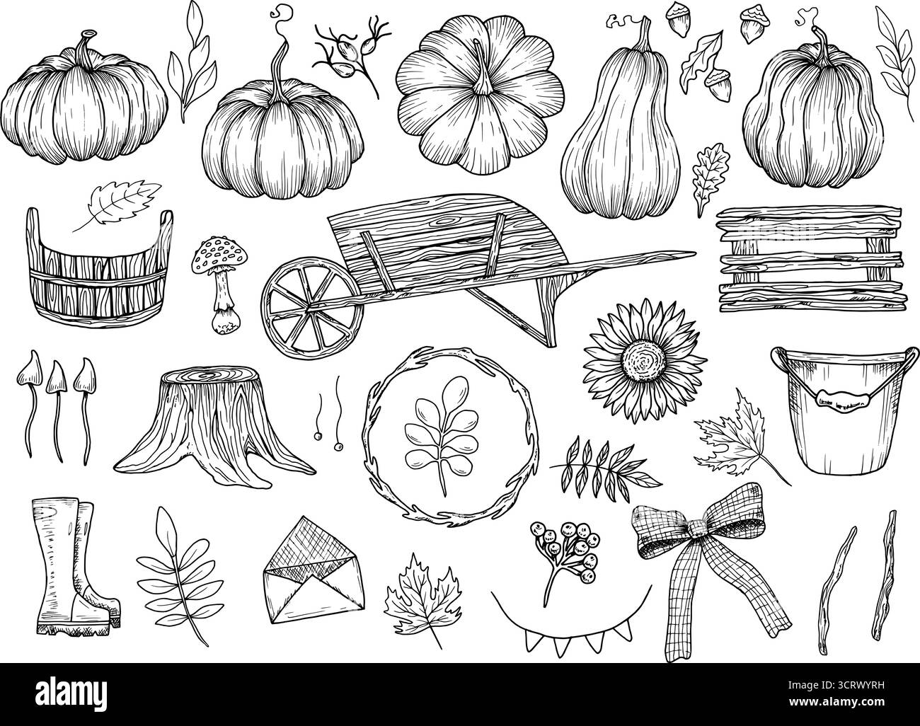 Collection d'éléments sur le thème de l'automne. Illustrations vectorielles d'objets en bois, de légumes, de baies et de fleurs. Graphiques noirs dessinés à la main. Contour Illustration de Vecteur