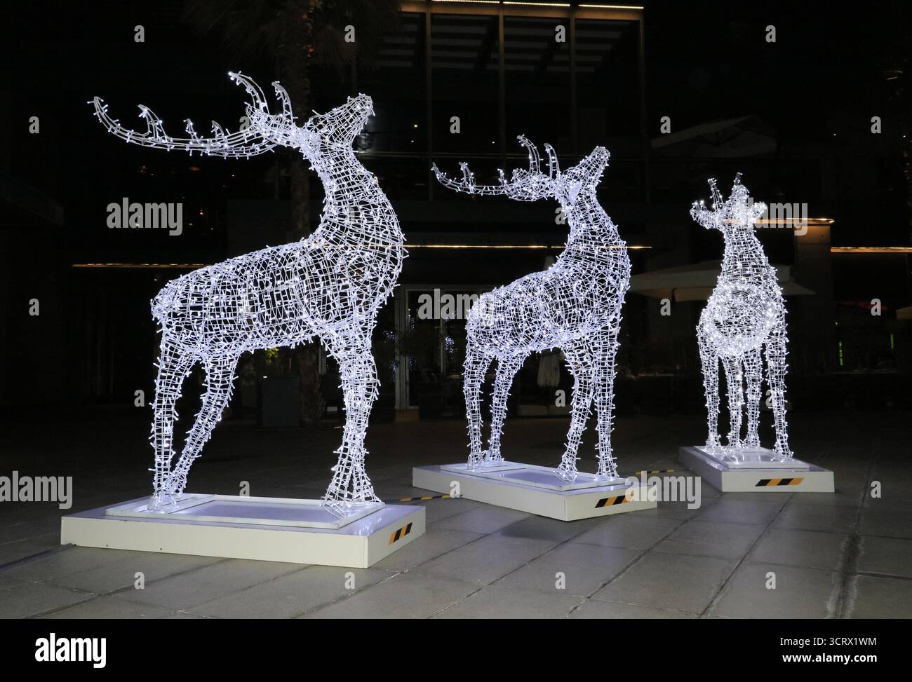 Décorations de rennes de Noël à Dubaï, Émirats arabes Unis. Banque D'Images