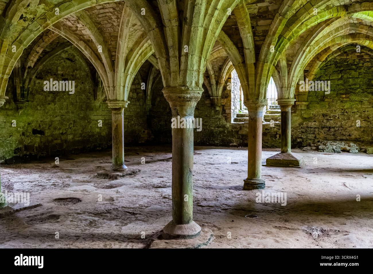 Intérieur arqué d'une ancienne crypte à l'historique abbaye de Battle à Hastings Banque D'Images