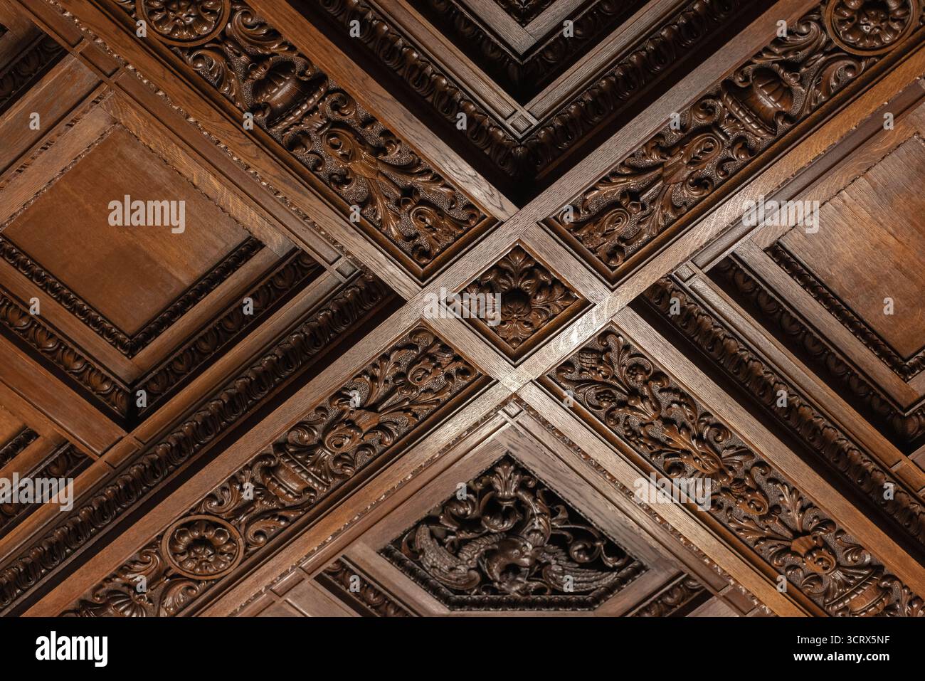 Gros plan photo d'un plafond en bois historique avec de riches bordures sculptées, des coffres carrés et des tons bruns chauds. Cette texture premium capture l'artisanat Banque D'Images
