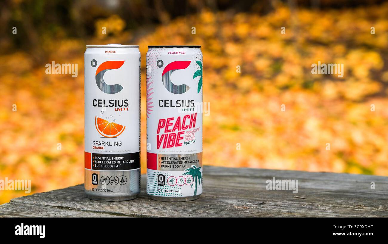 NORWALK, CT, États-Unis - 25 NOVEMBRE 2023 : Celsius Live FIT Sparkling Orange Drink et Peach Vibe en boîte sur une table en bois à l'extérieur avec des feuilles jaunes Banque D'Images