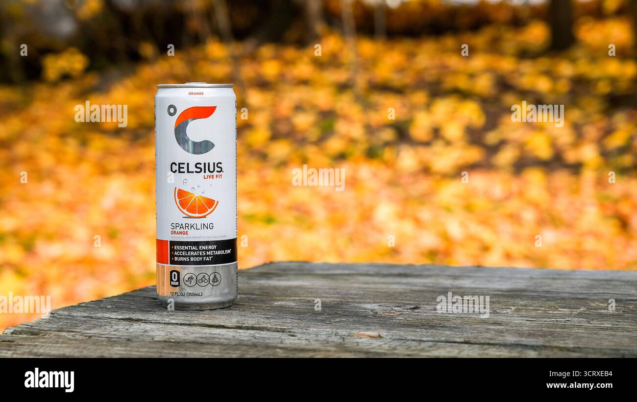NORWALK, CT, États-Unis - 25 NOVEMBRE 2023 : Celsius Live FIT boisson orange pétillante en boîte sur une table en bois à l'extérieur avec des feuilles jaunes Banque D'Images