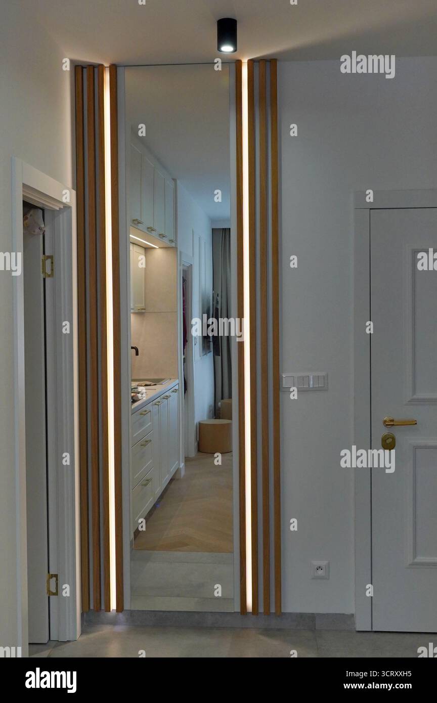 Design moderne du couloir avec miroir élégant et éclairage intégré dans une maison contemporaine Banque D'Images