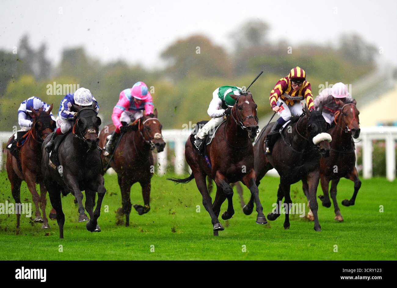 Aramram monté par Tom Marquand (au centre) en route pour gagner le BetMGM handicap à l'hippodrome d'Ascot. Date de la photo : vendredi 3 octobre 2025. Banque D'Images