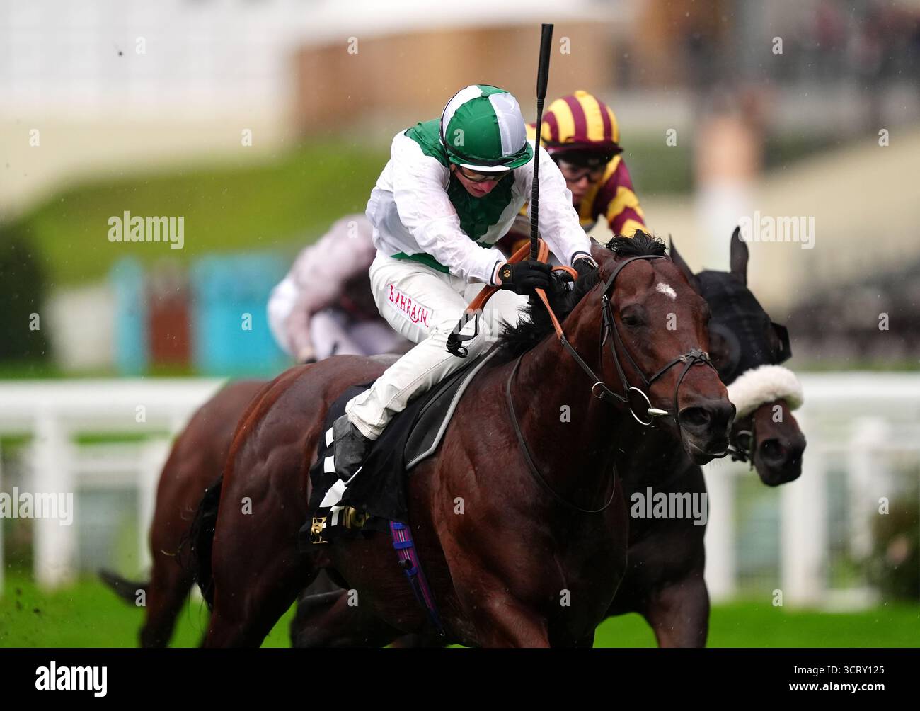 Aramram monté par Tom Marquand sur leur chemin pour gagner le BetMGM handicap à Ascot Racecourse. Date de la photo : vendredi 3 octobre 2025. Banque D'Images
