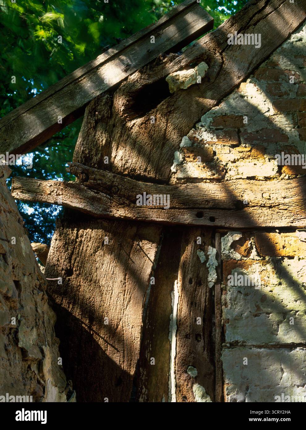 Détail de l'épaule et fixez les conjoints de faisceau d'un chêne cruck ruines dans un bâtiment de ferme à pans de bois à Bwlch, Aifft Ucha, Denbighshire, UK. Banque D'Images