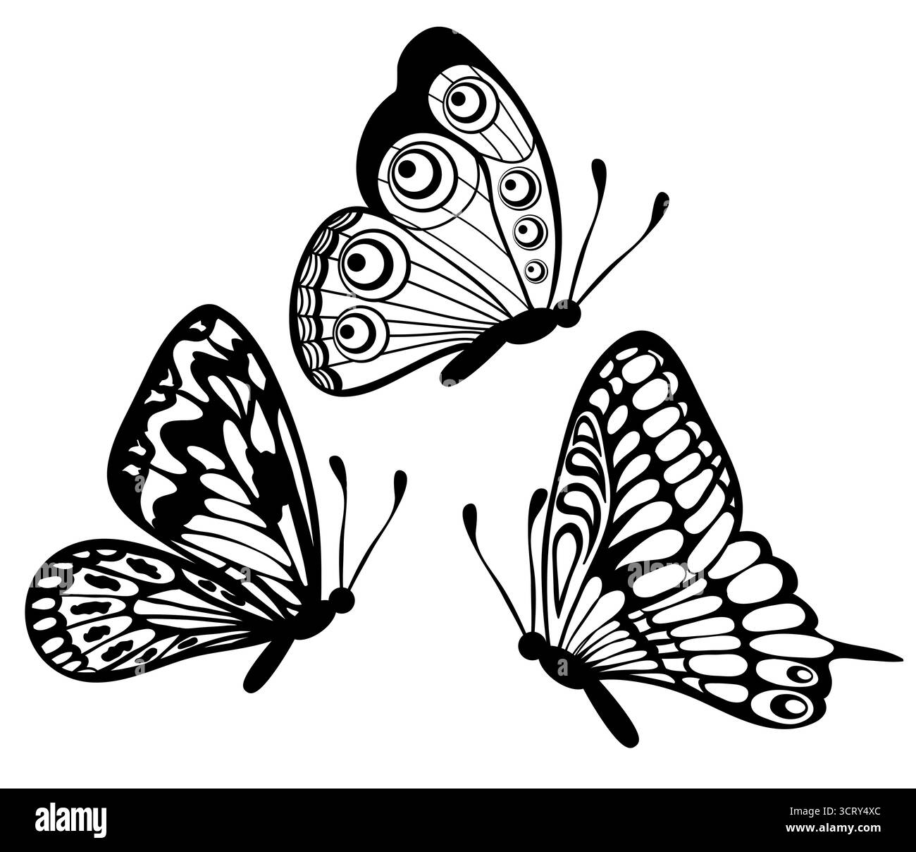 ensemble de beaux papillons en dentelle guipure noir et blanc Illustration de Vecteur