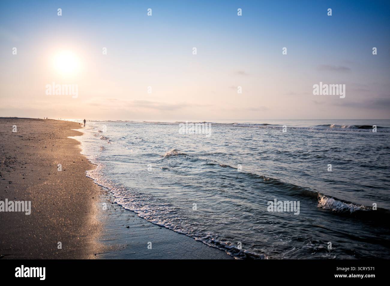 Plage à Isle of Palms Caroline du Sud tôt le matin // ISLE OF PALMS, Caroline du Sud — une vue tôt le matin de la plage à Isle of Palms, une ville insulaire barrière dans le comté de Charleston. Le soleil est bas à l'horizon, projetant une lueur chaude à travers le sable humide tandis que de douces vagues de l'océan Atlantique roulent à terre. Une personne se promène le long de la ligne de flottaison, profitant du début tranquille de la journée. Isle of Palms est une destination côtière populaire connue pour ses vastes plages, située au large de la côte de Caroline du Sud et faisant partie de la région métropolitaine de Charleston. Banque D'Images