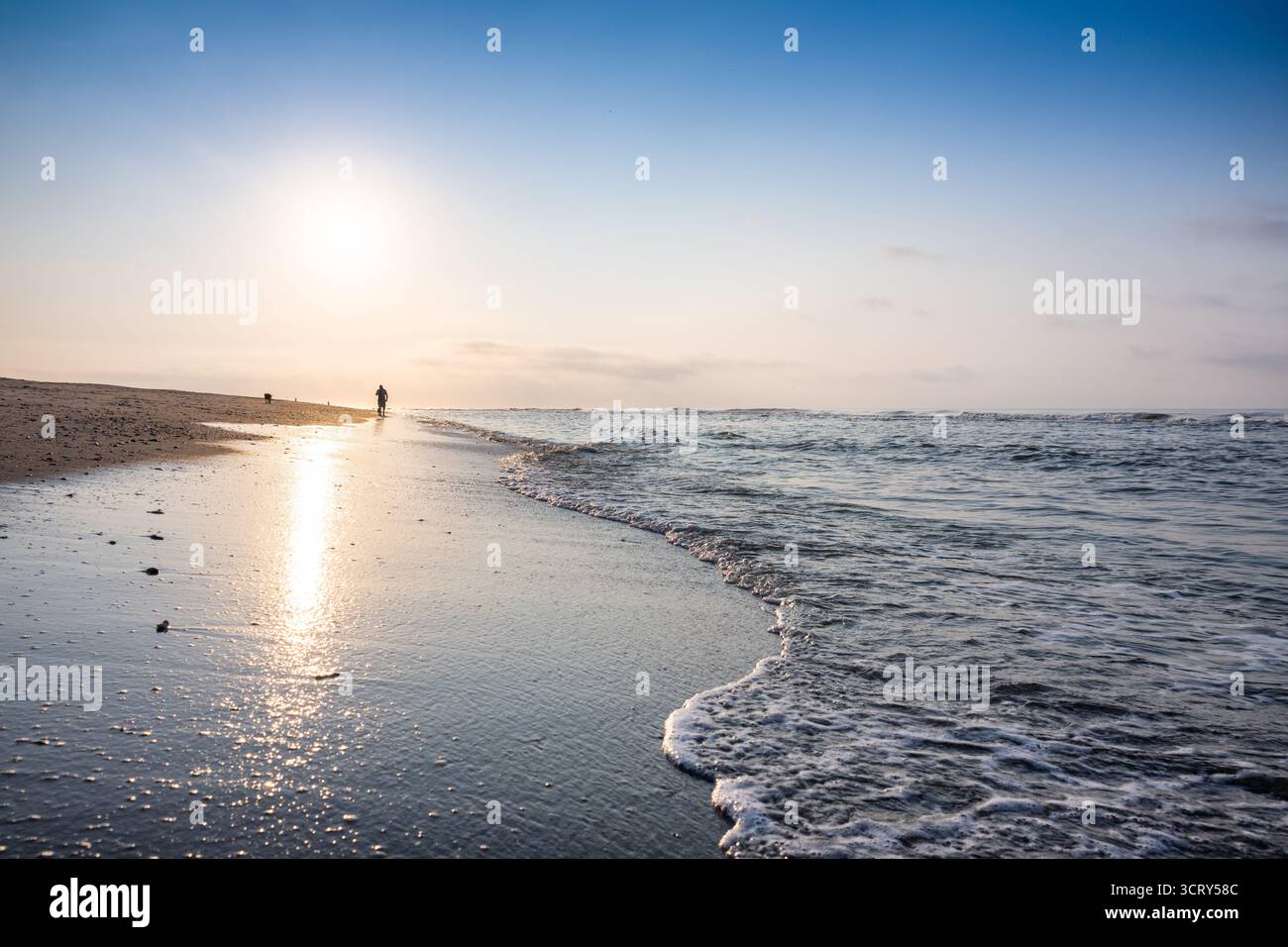 Plage à Isle of Palms Caroline du Sud tôt le matin // ISLE OF PALMS, Caroline du Sud — une scène matinale sur la plage à Isle of Palms montre une personne marchant le long du bord de l'eau avec un chien. Cette île barrière de l'Atlantique est située juste à l'est de Charleston, Caroline du Sud, aux États-Unis. Isle of Palms est une destination côtière populaire, connue pour ses larges plages de sable fin et ses possibilités de loisirs. La région offre un environnement détendu, attirant les résidents et les touristes à la recherche de vues sur l'océan et d'activités de plein air. Il fait partie de la région métropolitaine de Charleston, fournissant conven Banque D'Images