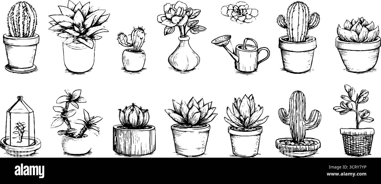 Collection de doodle dessinée à la main de cactus et de pots de plantes pour des conceptions créatives. Illustration de Vecteur