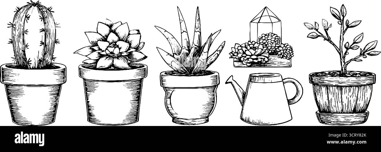 Ensemble d'icônes de doodle dessinées à la main de pots de plantes et de collection de cactus. Illustration de Vecteur