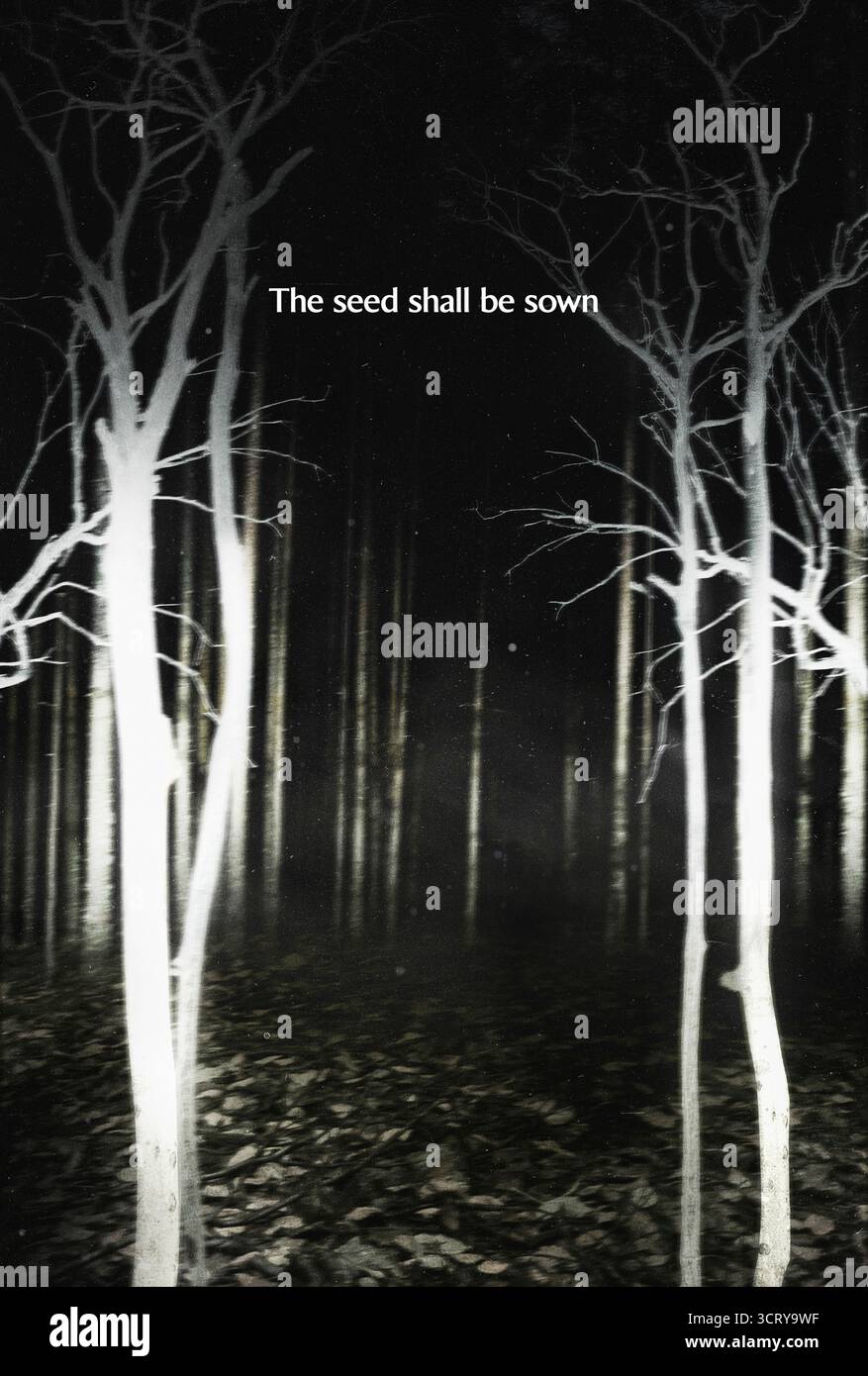 Shelby Oaks (2025) réalisé par Chris Stuckmann et mettant en vedette Camille Sullivan, Brendan Sexton III et Michael Beach. Une femme cherche sa sœur disparue au milieu d'indices retrouvés et d'un mal surnaturel dans une ville abandonnée. Affiche avancée AMÉRICAINE UNIQUEMENT POUR USAGE ÉDITORIAL. Crédit : BFA / Neon Banque D'Images