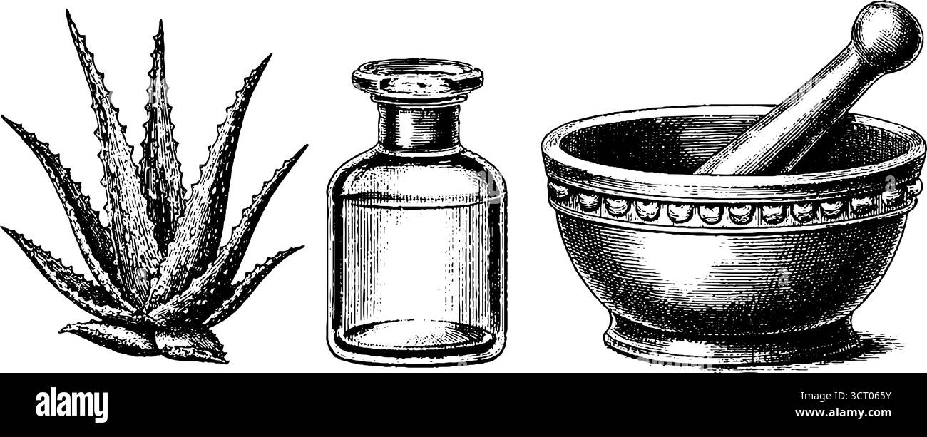 Collection gravée de bouteille en verre de plante d'aloès et mortier avec pilon pour les remèdes à base de plantes et la conception de médecine naturelle. Illustration de Vecteur