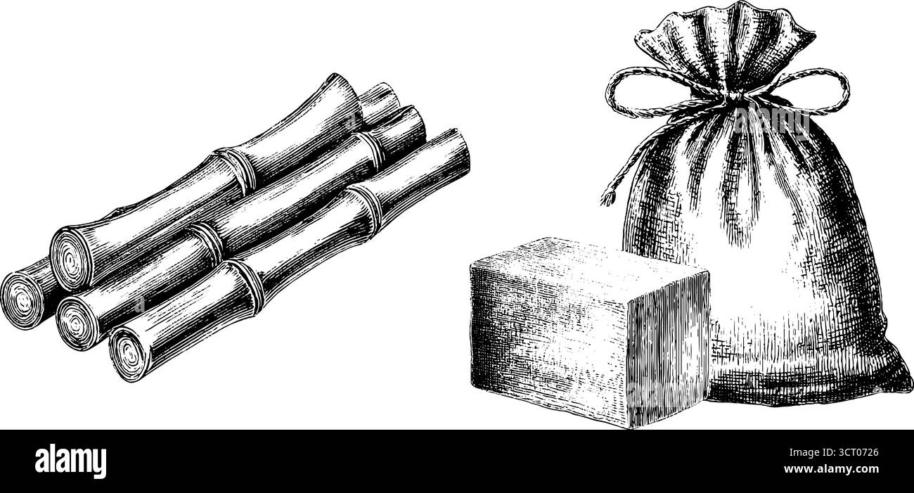 Bambou gravé et illustration de l'ensemble de brosse à dents écologique pour un design vivant naturel. Illustration de Vecteur