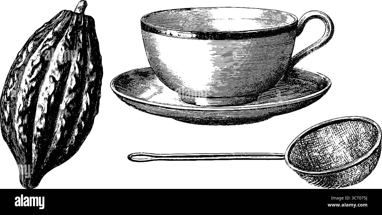 Illustration gravée vintage de tasse de cacao et ensemble de dosettes pour un design rétro. Illustration de Vecteur