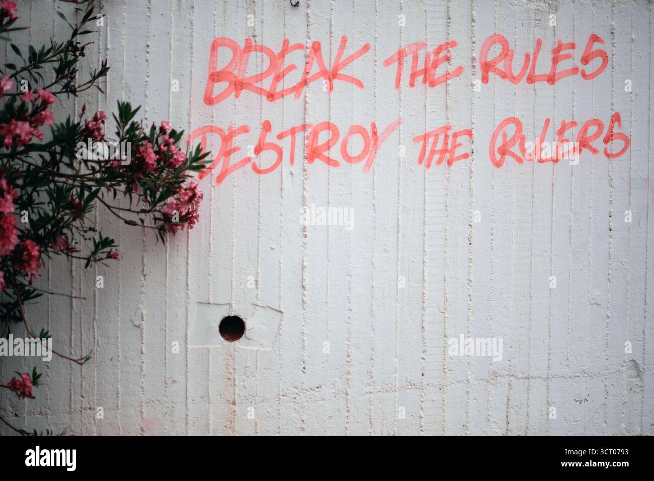 Graffiti avec la phrase rebelle « Break the Rules Destroy the rulers » peint en rouge sur un mur de béton blanc à côté de fleurs roses en fleurs. Banque D'Images