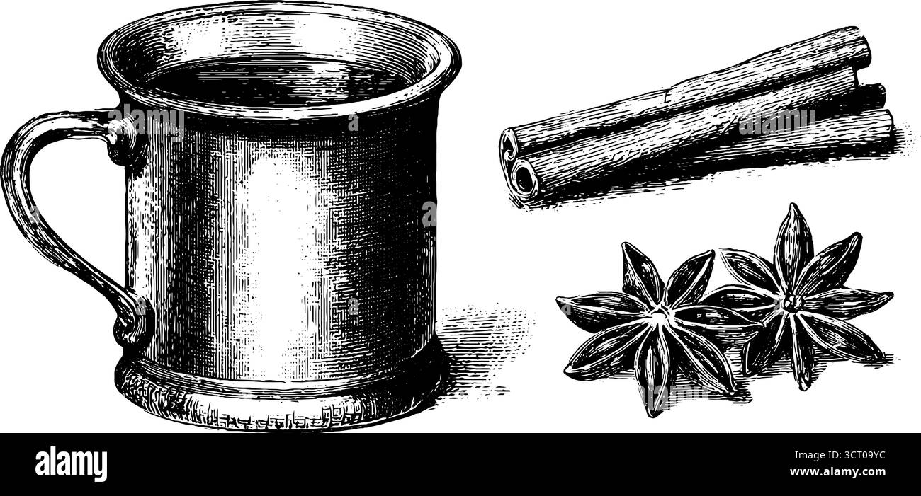 Ensemble gravé vintage de tasse à cidre chaud avec des bâtons de cannelle et de l'anis étoilé pour le design d'automne. Illustration de Vecteur