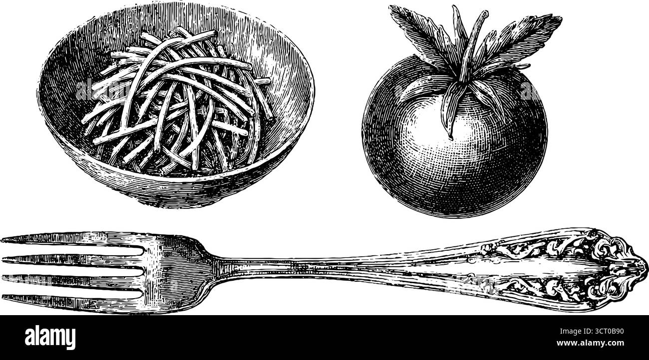 Ensemble d'illustration gravé vintage de pâtes avec fourchette et tomate pour la conception d'art culinaire. Illustration de Vecteur