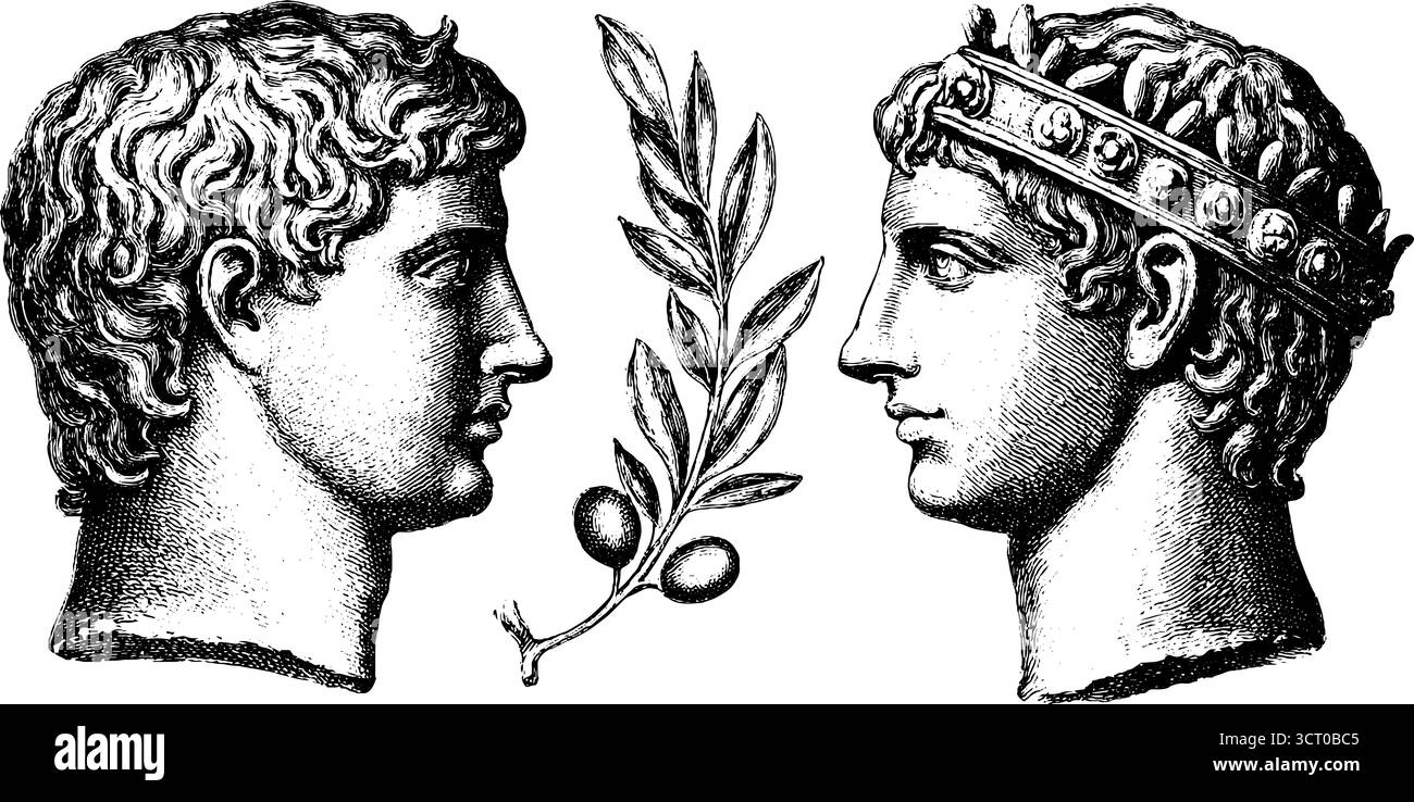 Bustes en marbre classiques avec collection de gravure de branches de laurier pour le design et la décoration. Illustration de Vecteur