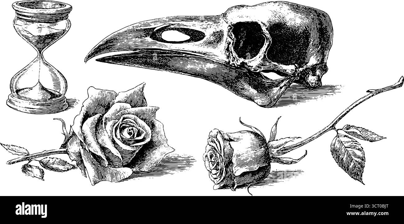 Crâne de corbeau, sablier et collection de roses finement gravés pour un design rétro. Illustration de Vecteur