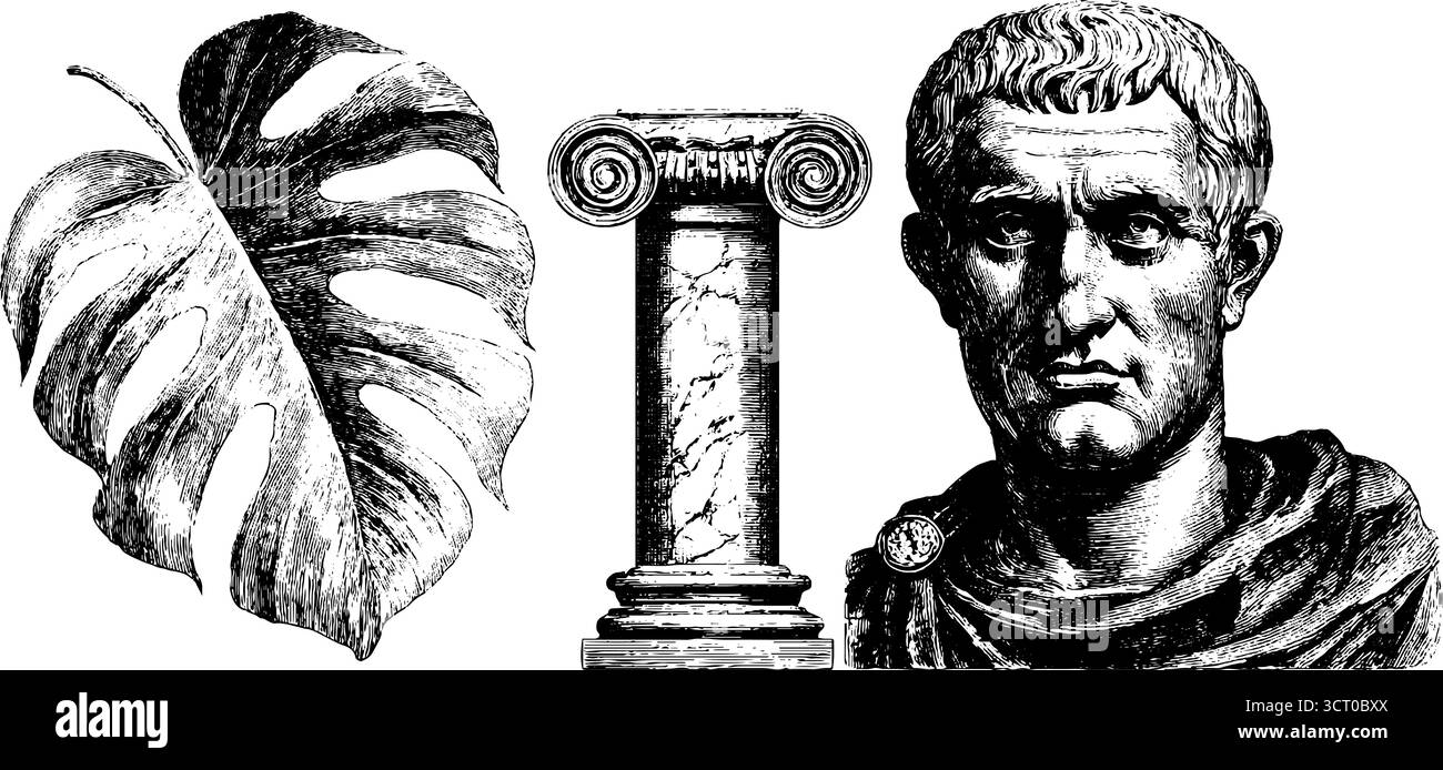 Ensemble gravé vintage de buste romain, colonne et feuille tropicale pour un design rétro. Illustration de Vecteur