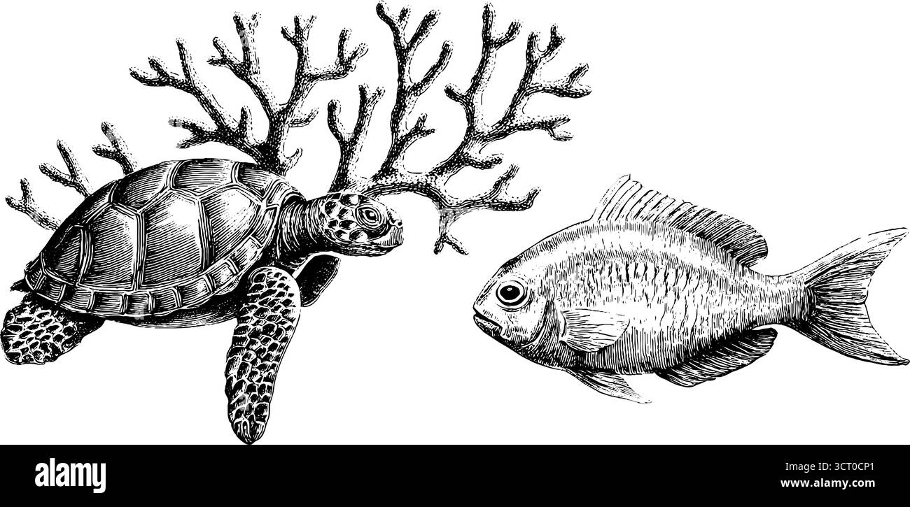 Ensemble d'illustration gravé vintage de tortue de mer et de scène de corail pour un design rétro. Illustration de Vecteur