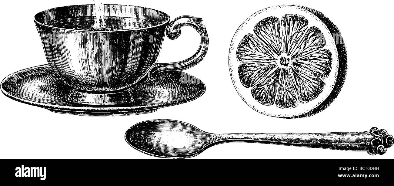 Ensemble d'illustration gravée vintage de tasse de thé vapeur avec cuillère et tranche d'agrumes. Illustration de Vecteur