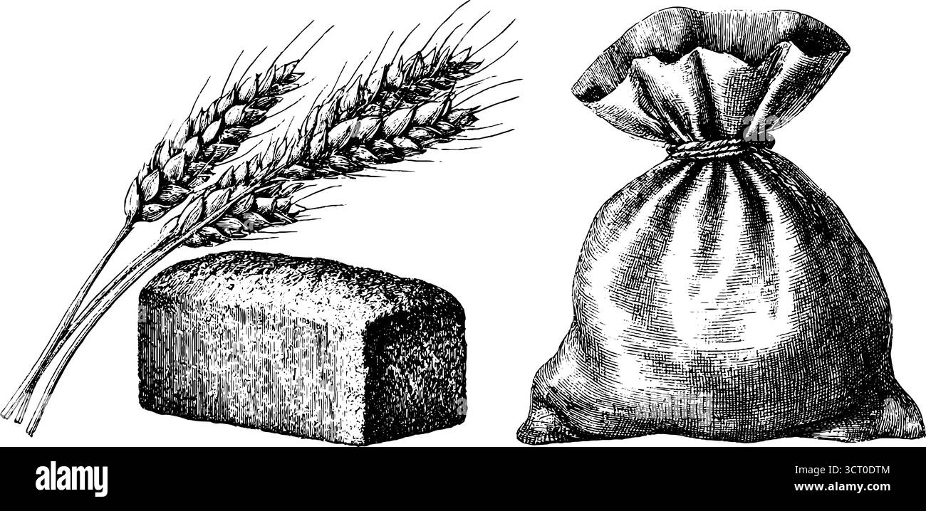 Vintage dessiné à la main ensemble de tige de blé, pain et gravure de sac pour un design rétro. Illustration de Vecteur