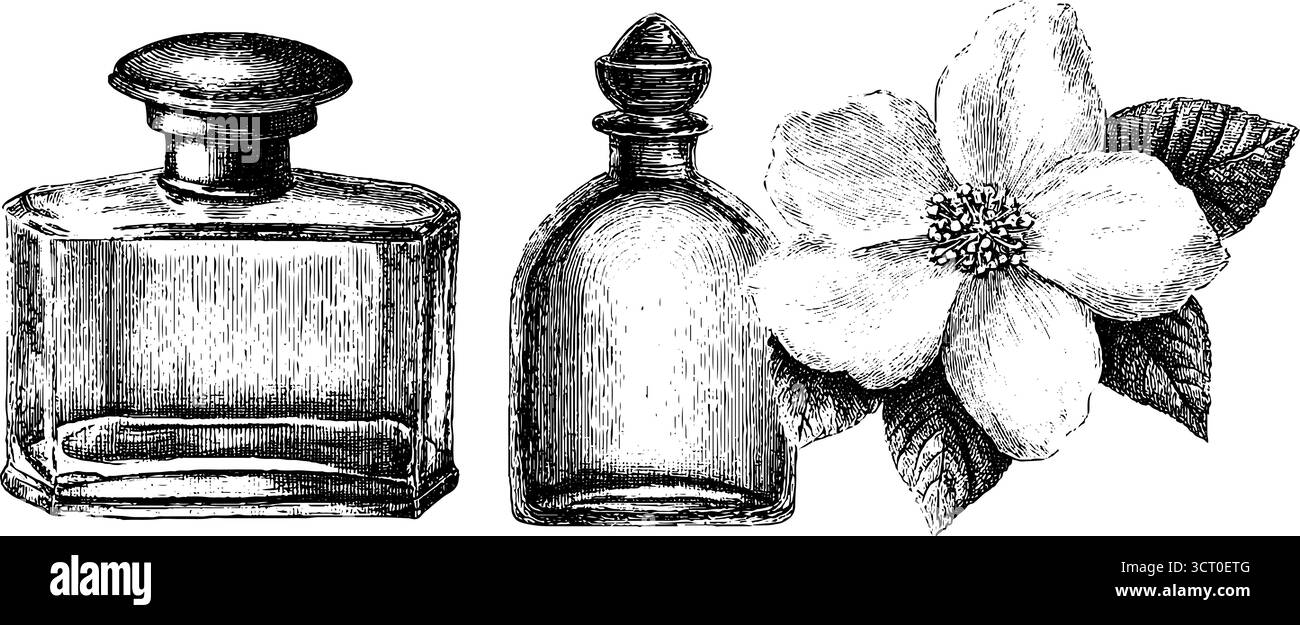 Collection de flacons de parfum vintage avec élément floral pour un design et une impression rétro. Illustration de Vecteur