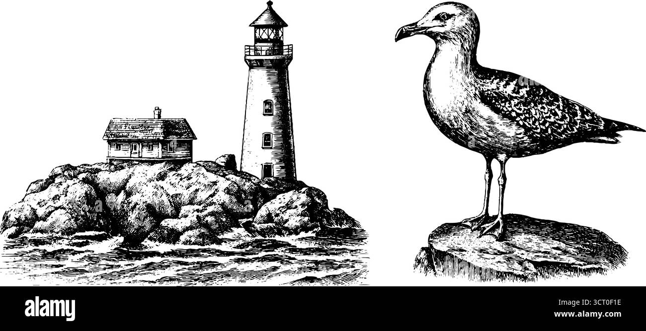 Phare vintage et ensemble de gravure mouette pour la conception et la décoration côtières. Illustration de Vecteur