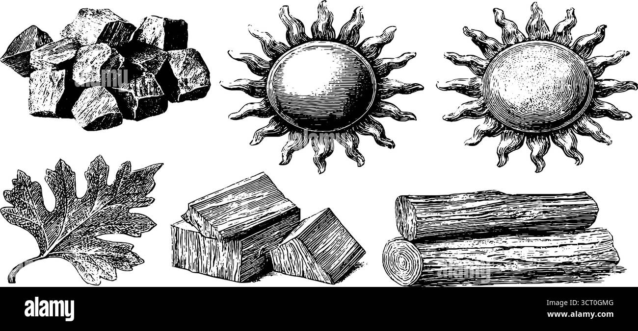 Ensemble de gravure solaire solstice d'été avec des éléments de la nature pour la conception. Illustration de Vecteur