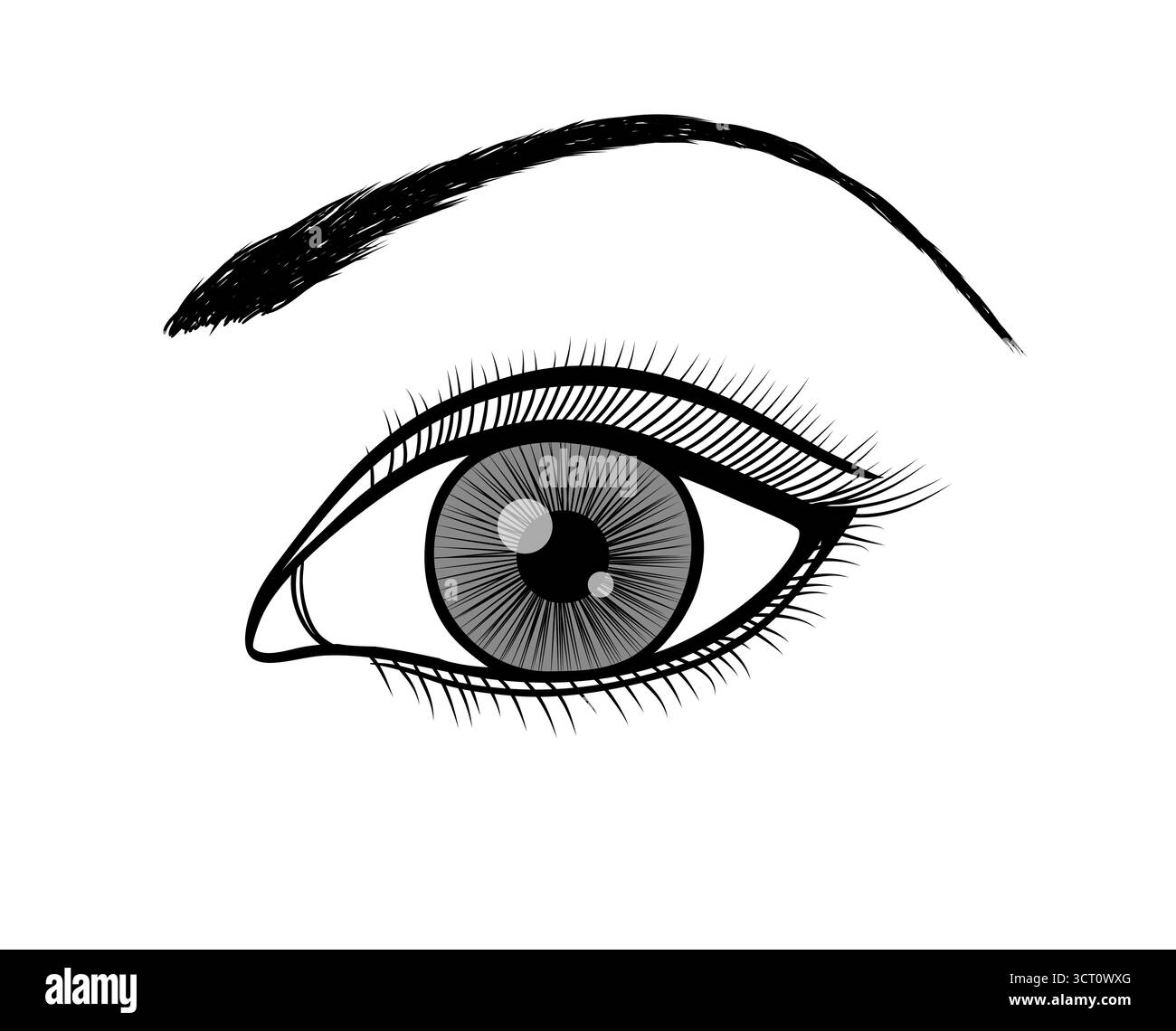 contour monochrome noir et blanc d'un oeil féminin. Illustration de Vecteur