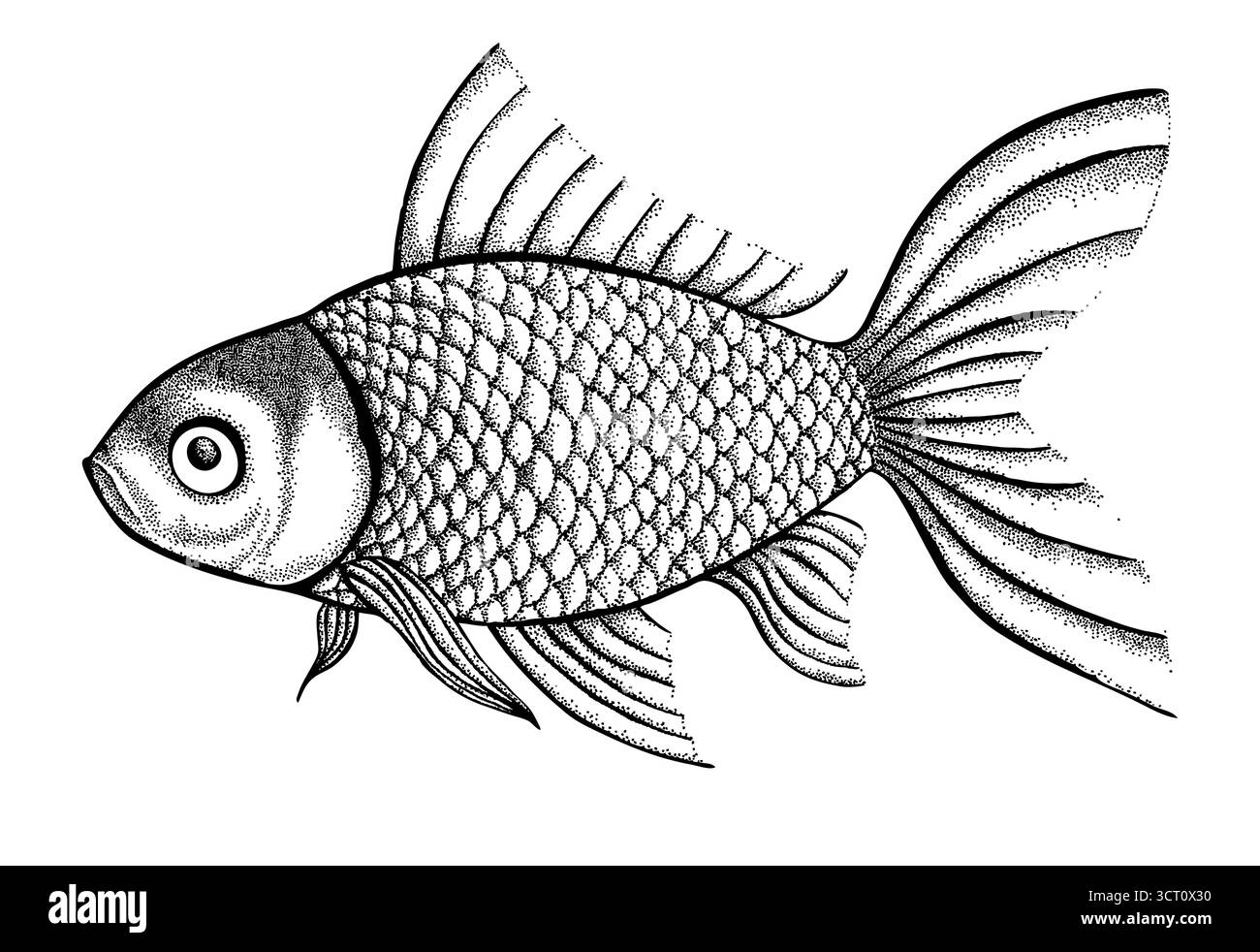 figure poisson peint dans un style graphique points et lignes. Une grande figure pour un tatouage Illustration de Vecteur