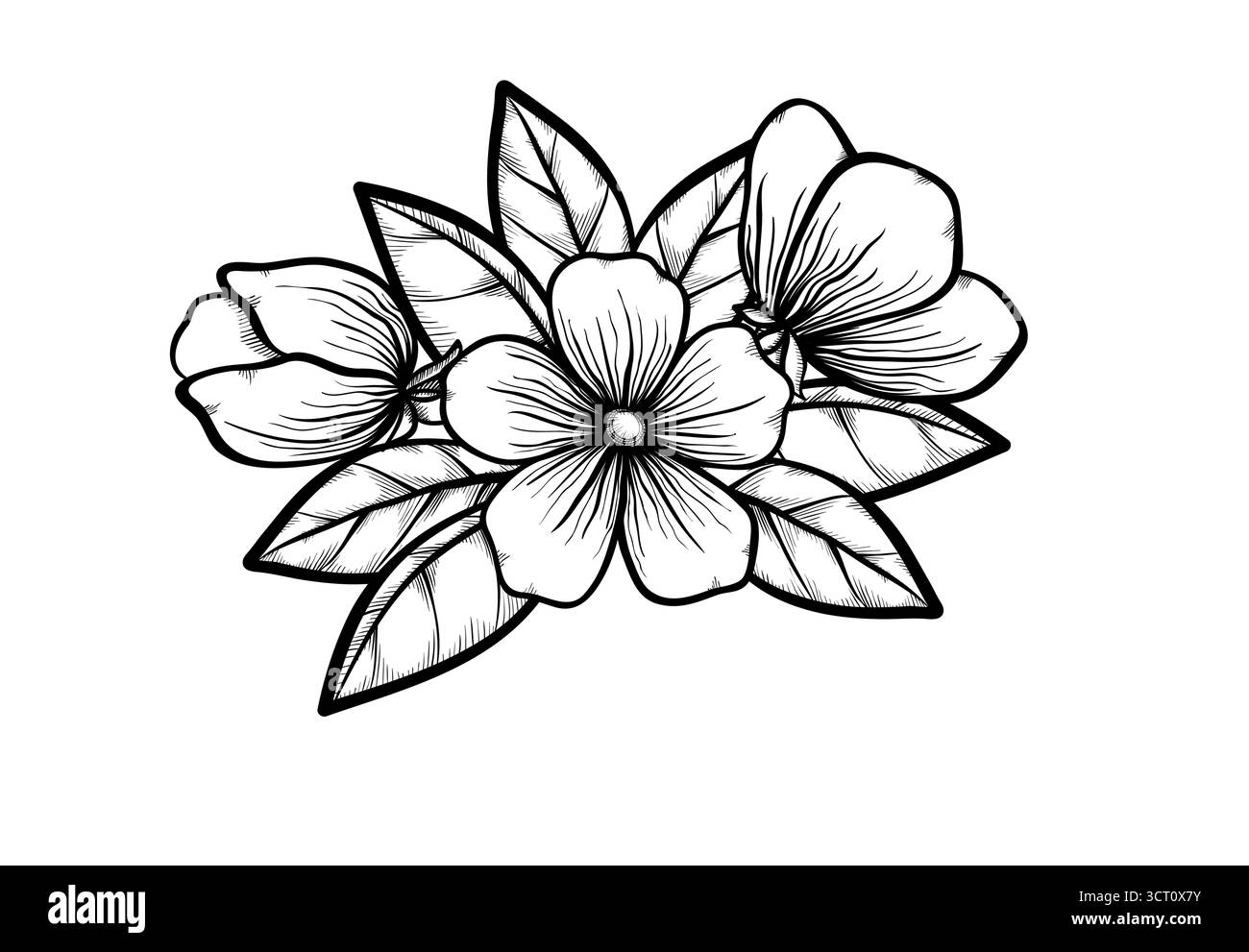 branche d'un arbre en fleurs dans le style graphique noir blanc, dessin à la main. Symbole de ressort Illustration de Vecteur