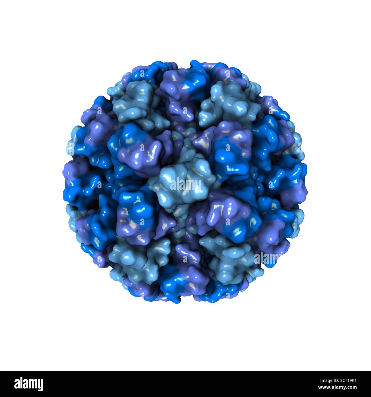 Structure cristalline de la capside du virus Norwalk, illustration. Banque D'Images