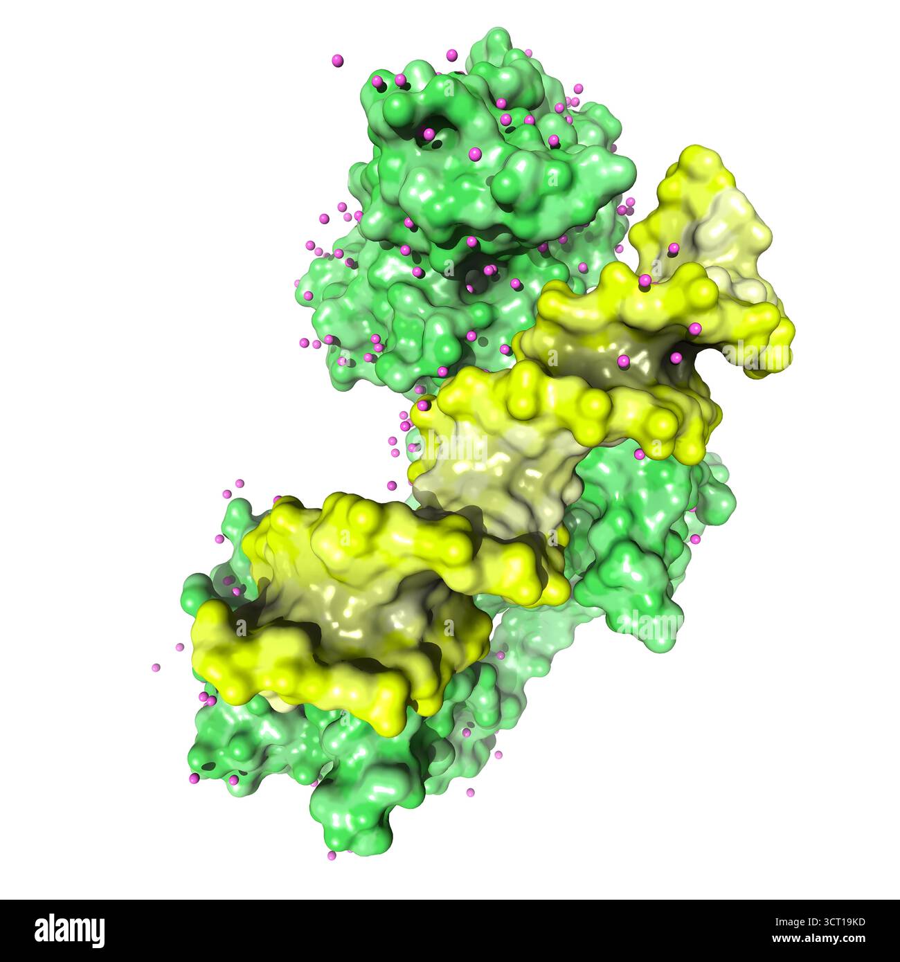 Structure cristalline du suppresseur de tumeur p53 lié à l'ADN, illustration. Banque D'Images