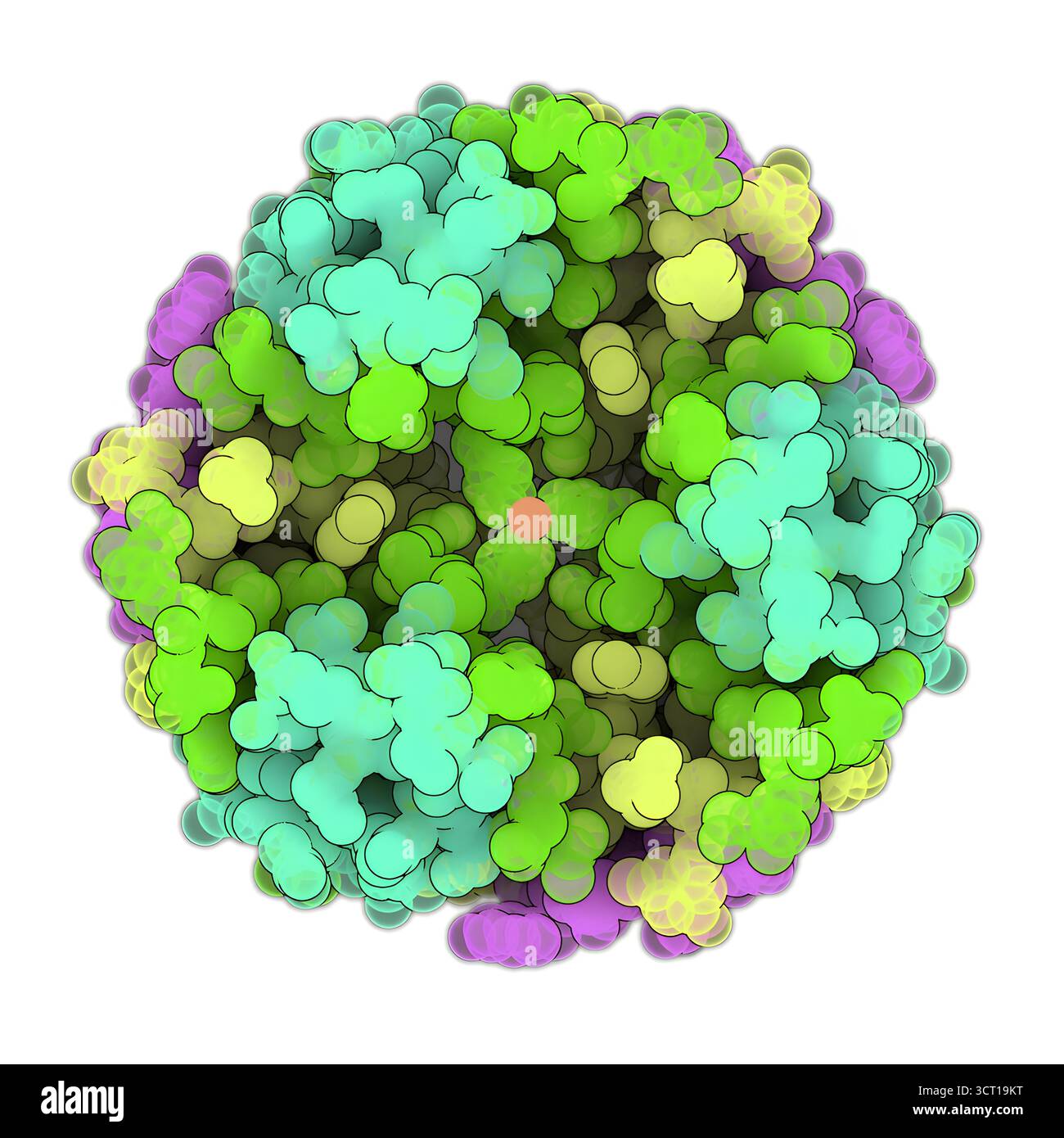 Structure cristalline de l'insuline bovine des-Phe B1, illustration. Banque D'Images