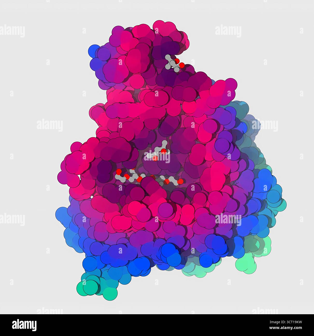 Illustration de la structure radiographique de la lipase de G. thermocatenulatus, mettant en évidence comment les mouvements du domaine LID exposent le site actif du enzymeâ€™s. Les ions zinc stabilisent les changements conformationnels spécifiques, assurant le positionnement correct des résidus clés pour la catalyse. La visualisation de ces dynamiques donne un aperçu de la façon dont la lipase régule l'accès au substrat et maintient la stabilité structurelle pendant l'activité enzymatique. Banque D'Images