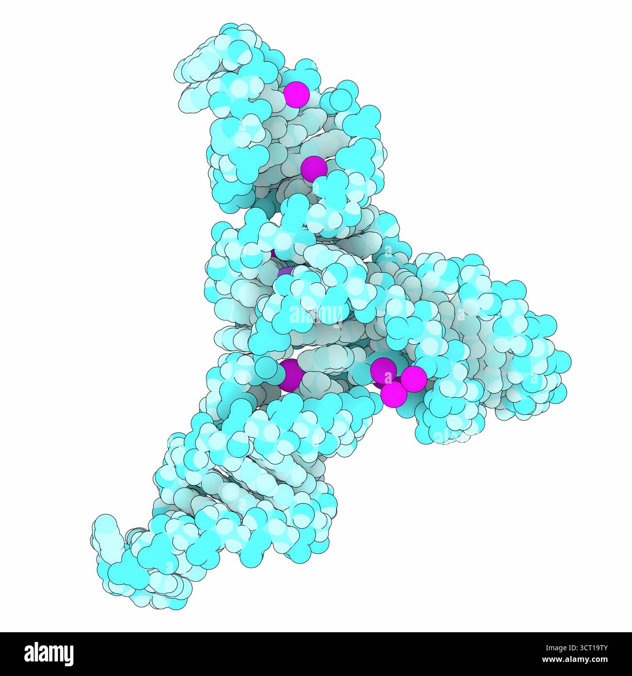 Illustration de la structure aux rayons X d'un ribozyme à ARN (acide ribonucléique), mettant en évidence comment son site actif positionne les substrats pour catalyser le transfert de méthyle spécifique au site. La structure fournit un aperçu des rôles de proximité et d'orientation dans la catalyse médiée par ARN. Banque D'Images