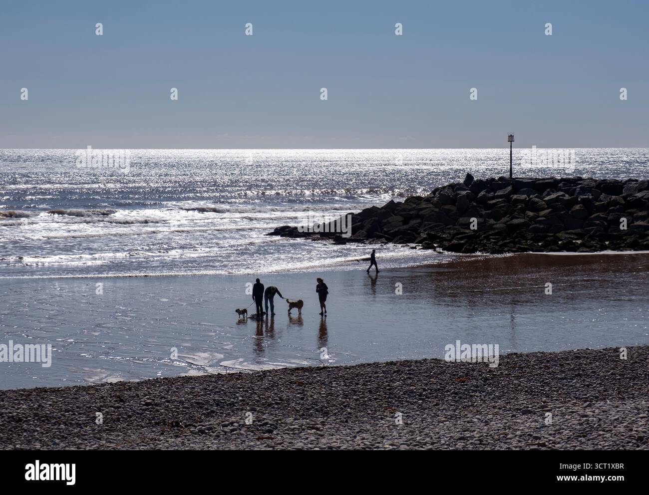 La lumière du soleil reflète l'océan et crée des silhouettes sur le rivage de Sidmouth, Devon sur la côte sud de l'Angleterre. Banque D'Images