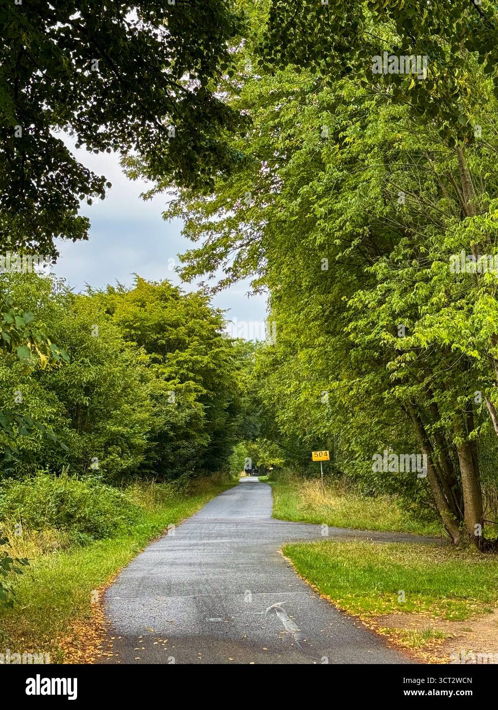 Route de campagne étroite et sinueuse entourée d'un feuillage vert dense formant un tunnel d'arbres naturel par temps nuageux, avec un panneau routier jaune au loin Banque D'Images