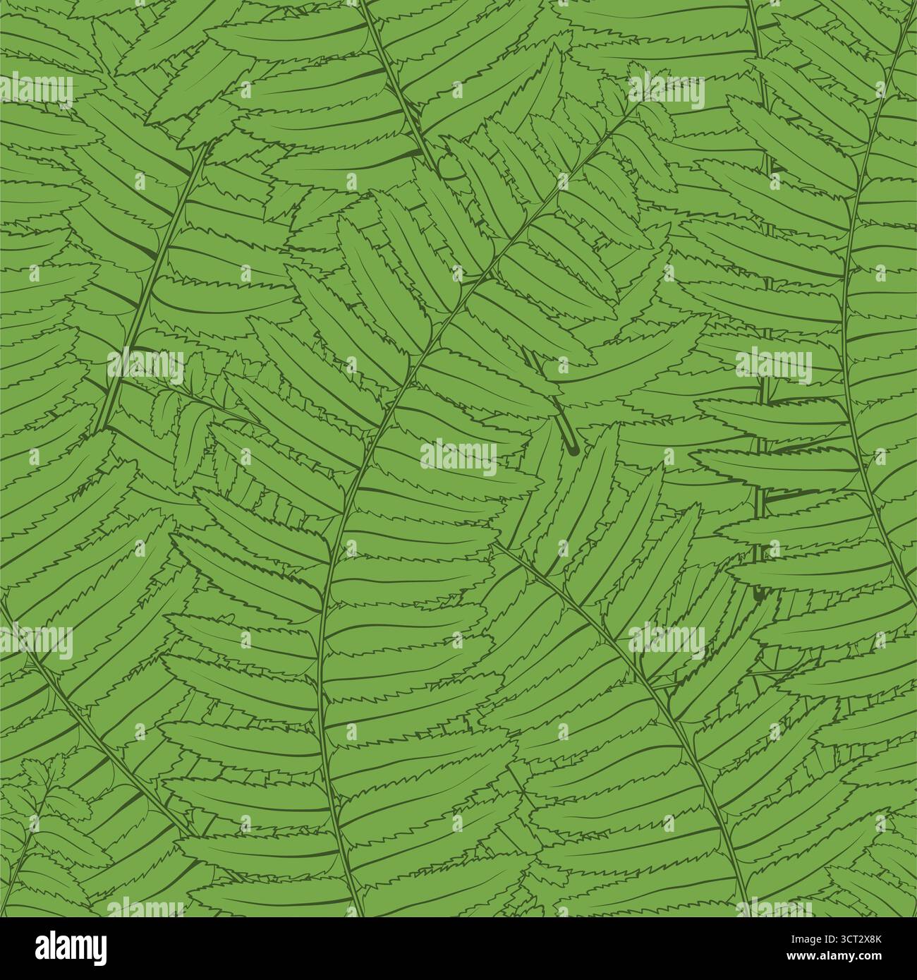 Beau fond sans couture avec des feuilles de fougères Illustration de Vecteur