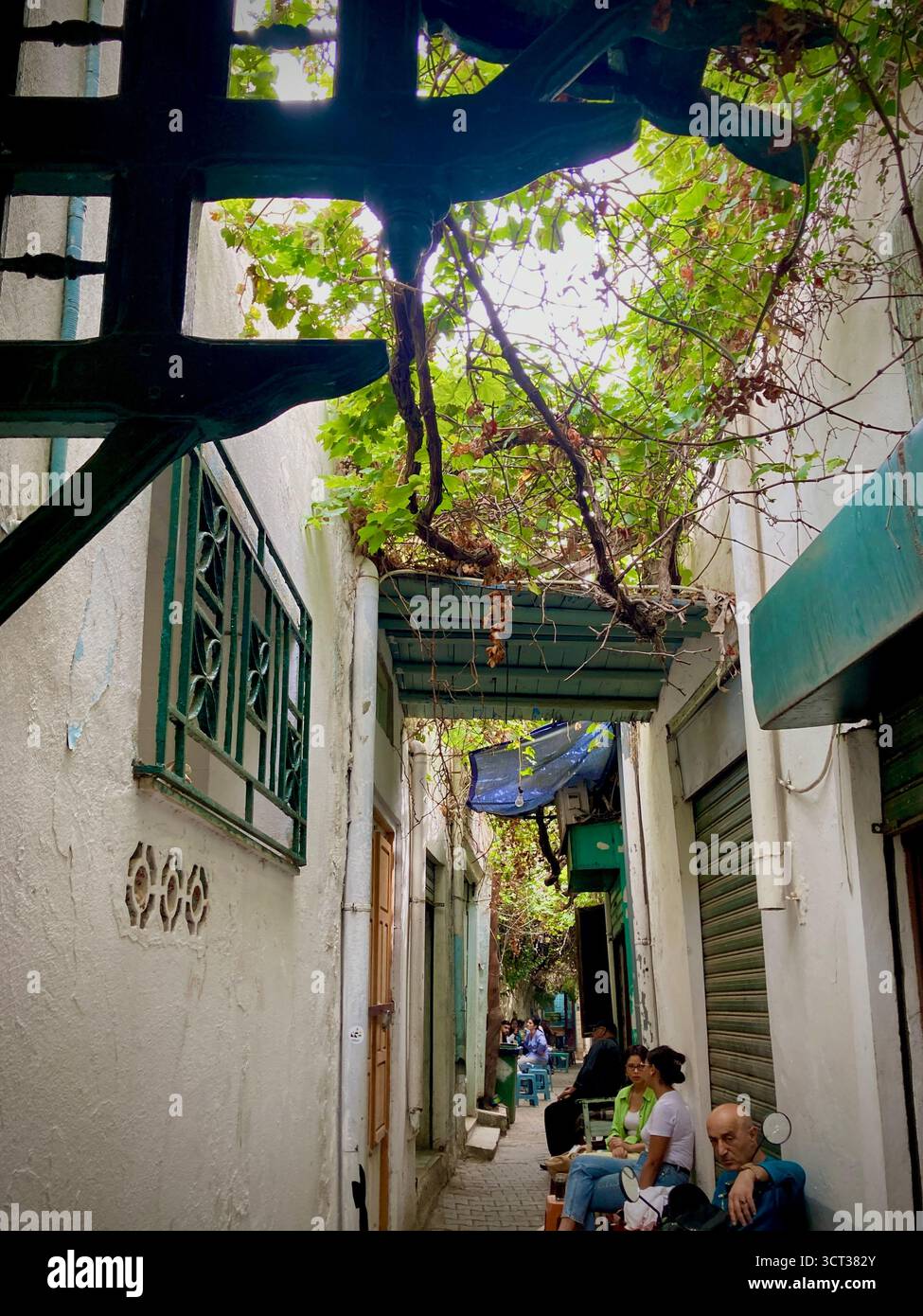 Ruelle près du Café raisin dans l'ancienne médina de Tunis, Tunisie. Canopée de vigne, murs blancs et vie tranquille dans la rue. Capturé le 22 septembre 2025. Banque D'Images