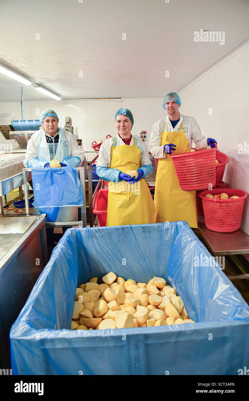 travailleurs saisonniers dans une usine alimentaire fabriquant des pâtes cornouailles Banque D'Images