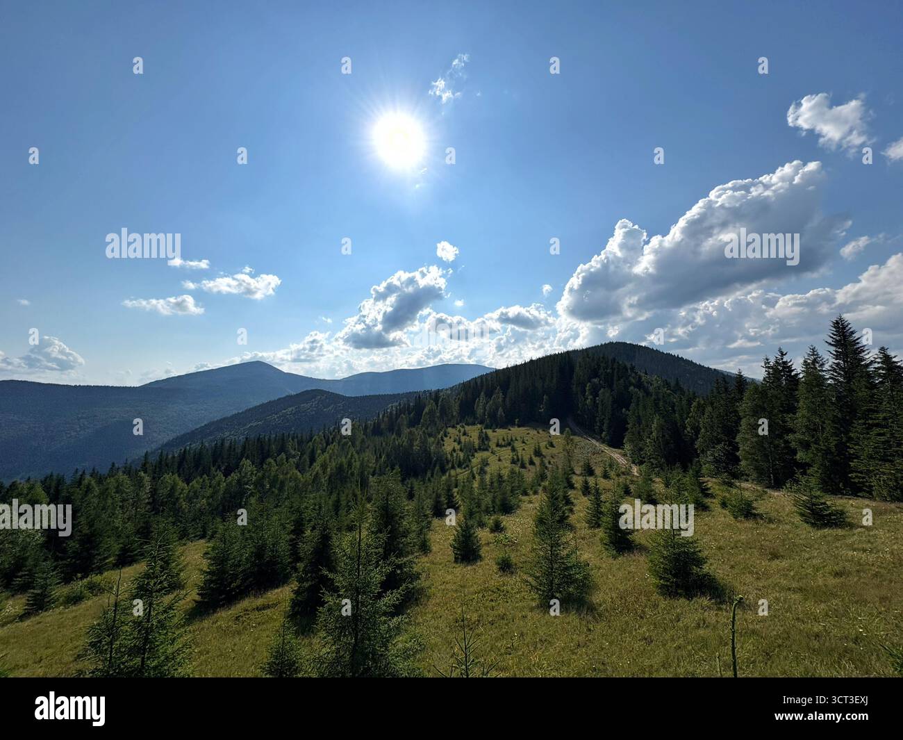 Paysage de montagne avec forêt verte et ciel bleu d'été. Vue panoramique sur les collines couvertes de pins et de nuages Banque D'Images
