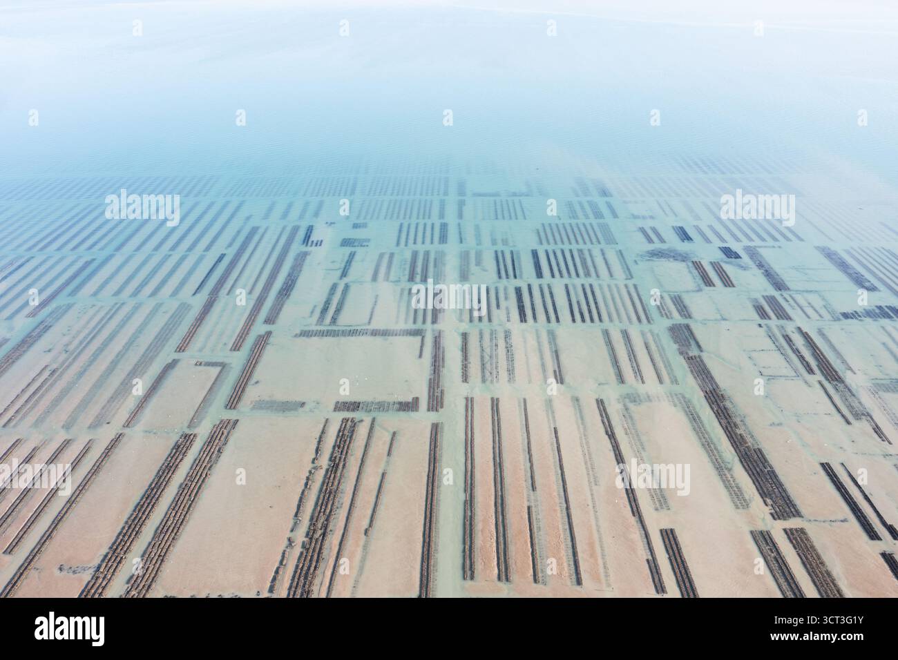 Vue aérienne des bancs d'huîtres à Cancale en Bretagne Banque D'Images